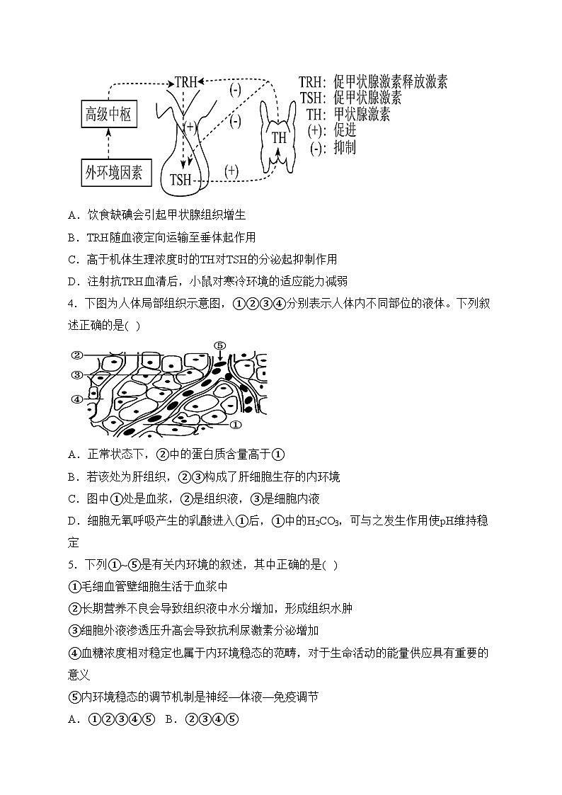 江苏省盐城市五校2023-2024学年高二上学期1月期末考试生物试卷(含答案)第2页