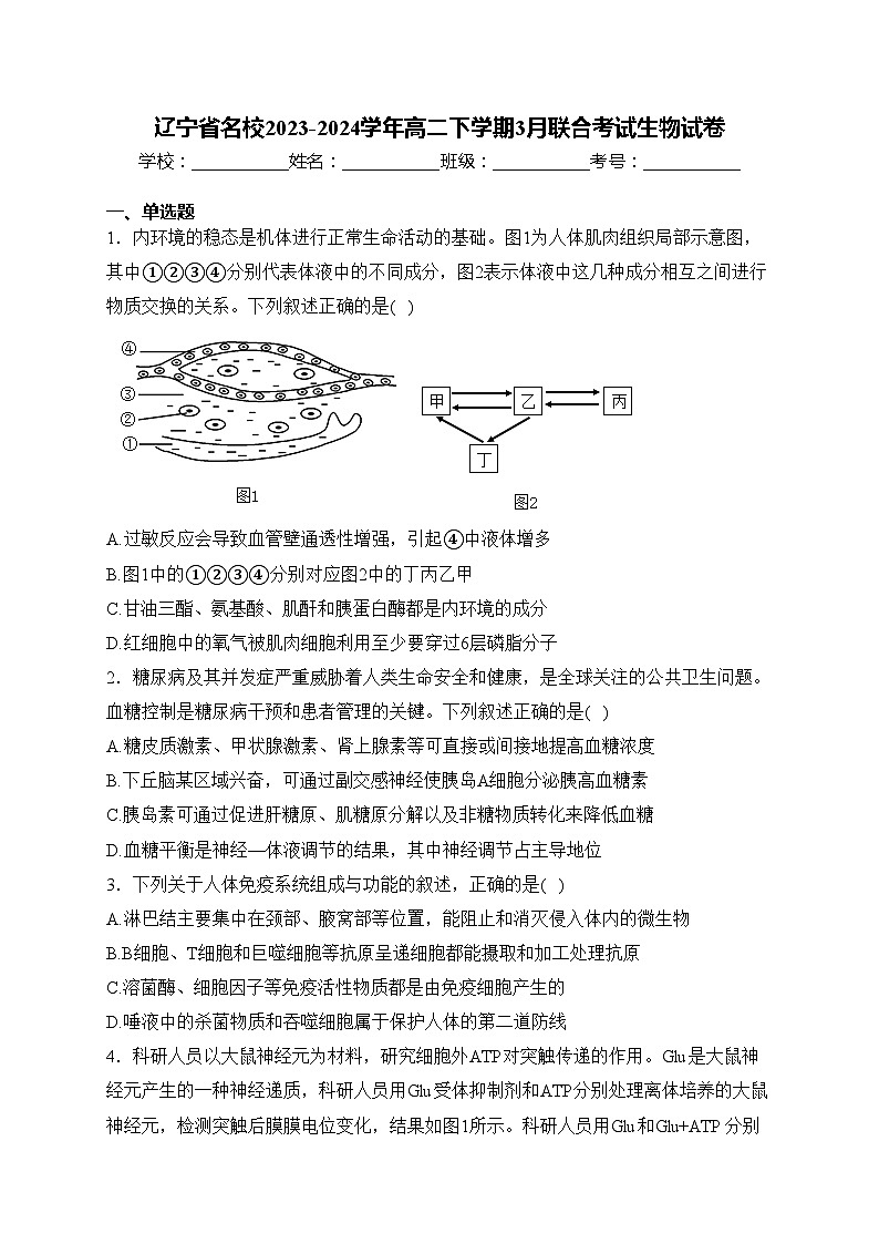 辽宁省名校2023-2024学年高二下学期3月联合考试生物试卷(含答案)第1页