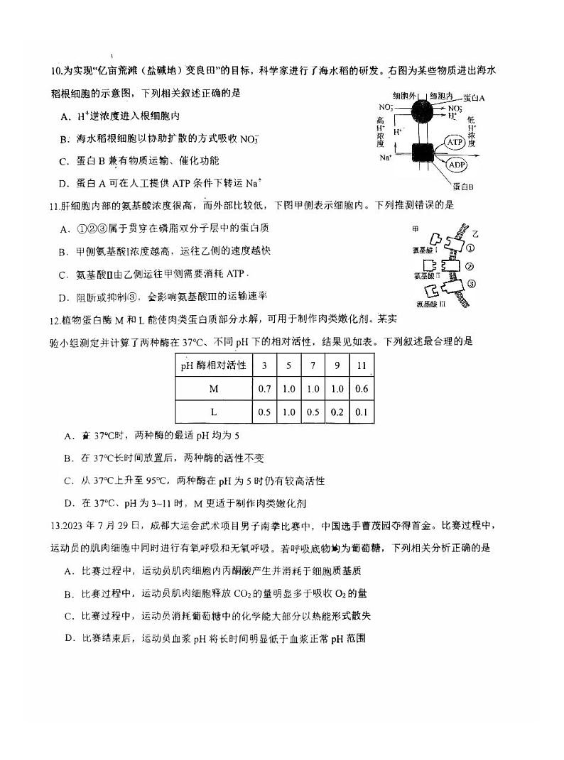 广东省四校2023_2024高三生物上学期第一次联考试题03