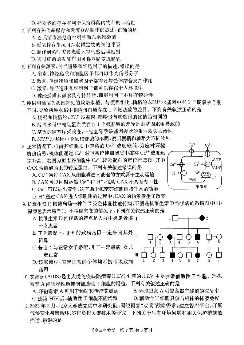 广东省湛江2023_2024高三生物上学期10月调研测试试题第2页
