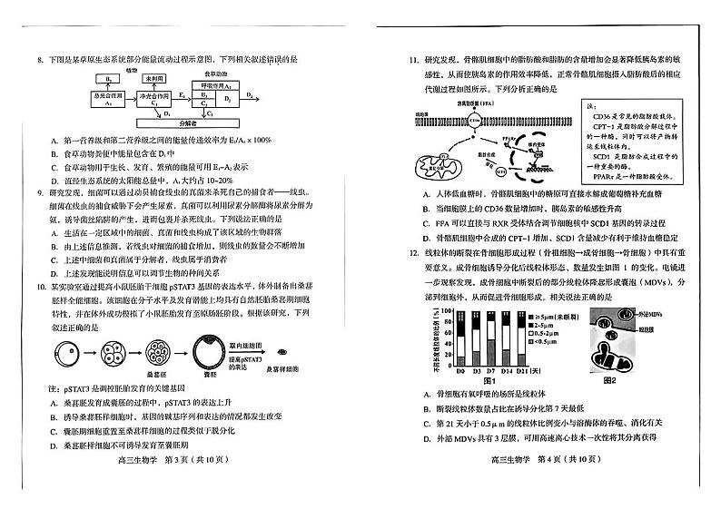 福建省龙岩市2024届高三下学期联考生物试题02
