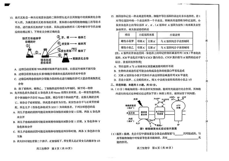福建省龙岩市2024届高三下学期联考生物试题03