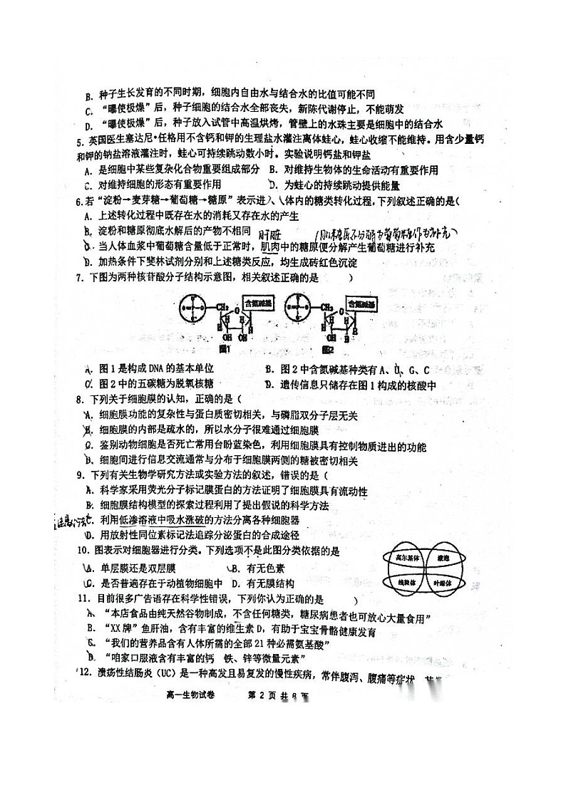 福建省福州市2023_2024学年高一生物上学期期中试卷扫描版02