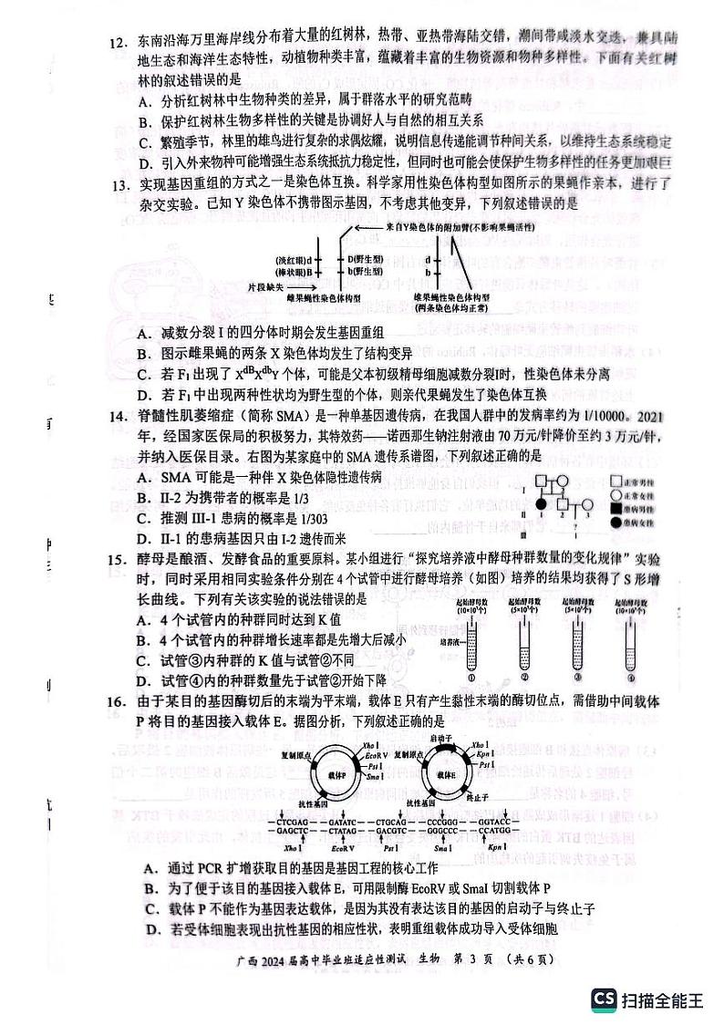 广西壮族自治区2024届高三下学期适应性测试生物试题03