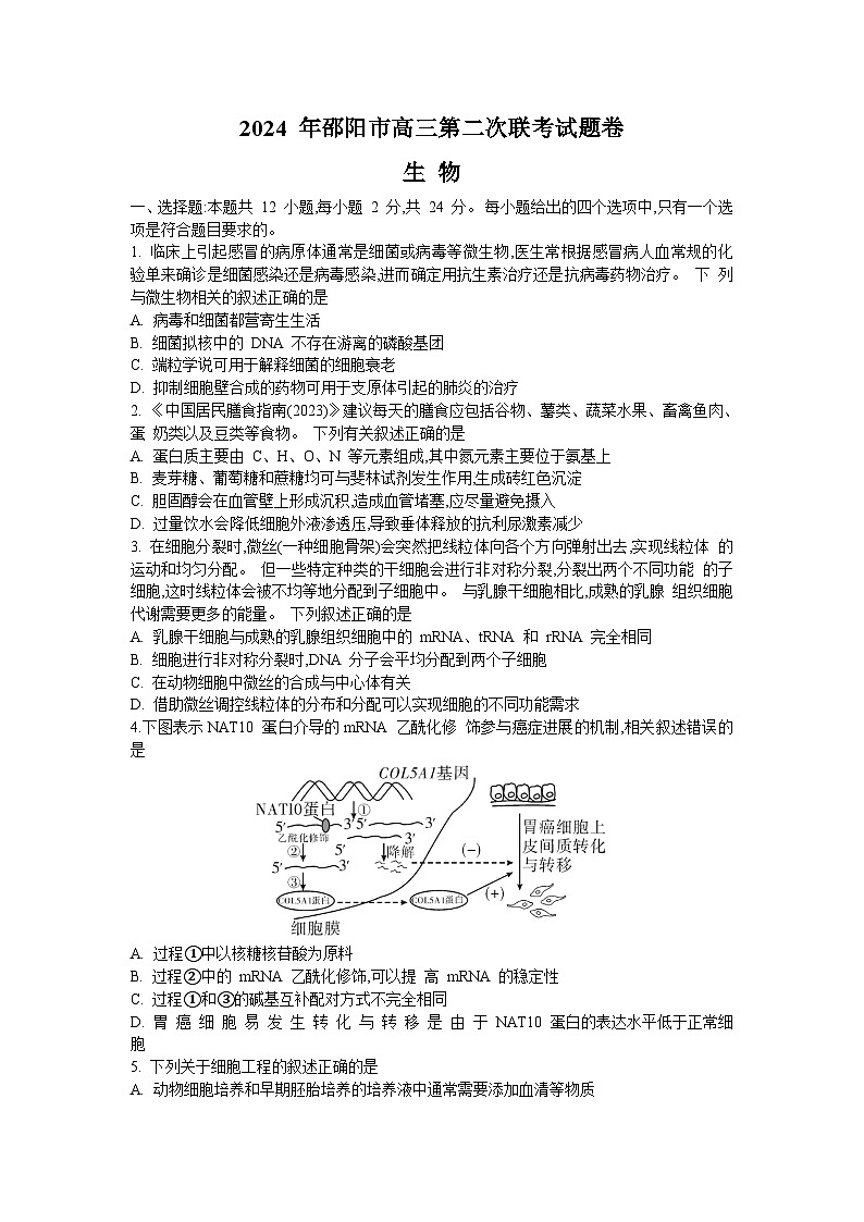 2024届湖南省邵阳市高三下学期第二次联考生物试题01