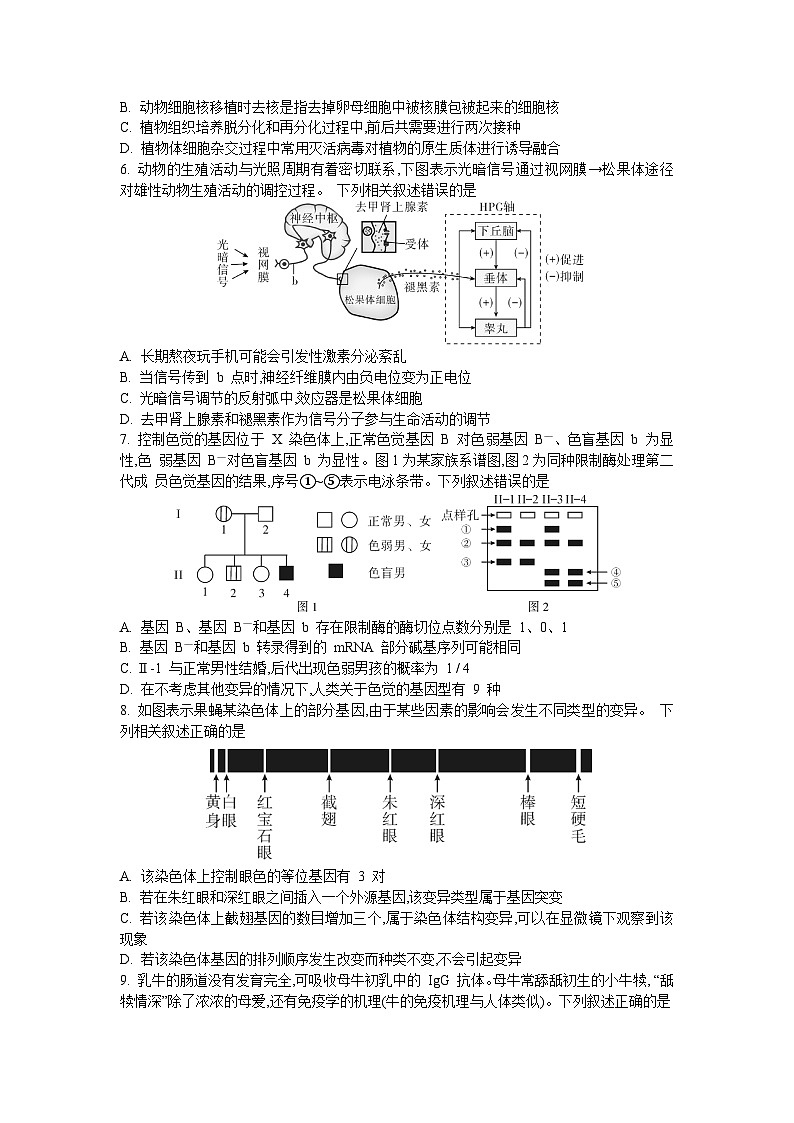 2024届湖南省邵阳市高三下学期第二次联考生物试题02