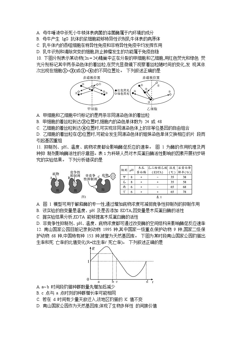 2024届湖南省邵阳市高三下学期第二次联考生物试题03