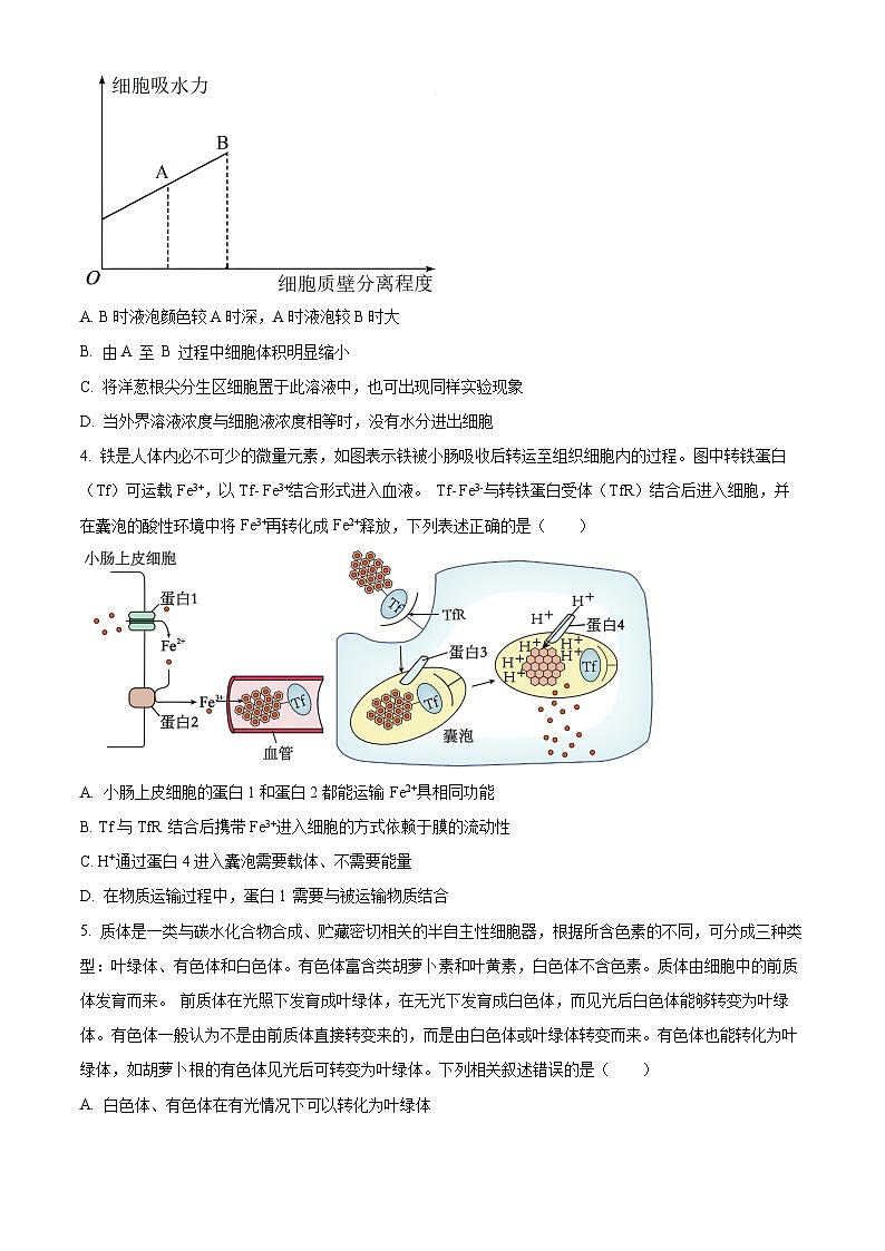 精品解析：2024年重庆市普通高中学业水平选择性考试高考模拟调研卷（三）生物试题（原卷版）第2页