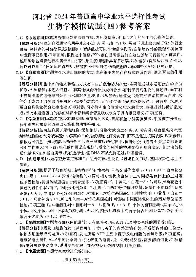 2024届河北省高三下学期普通高中学业水平选择性考试 生物参考答案第1页