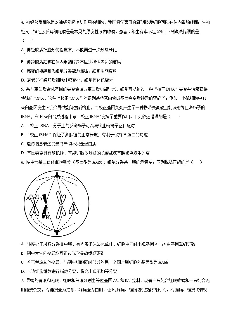 2024邯郸高三上学期第一次调研监测试题生物含解析02