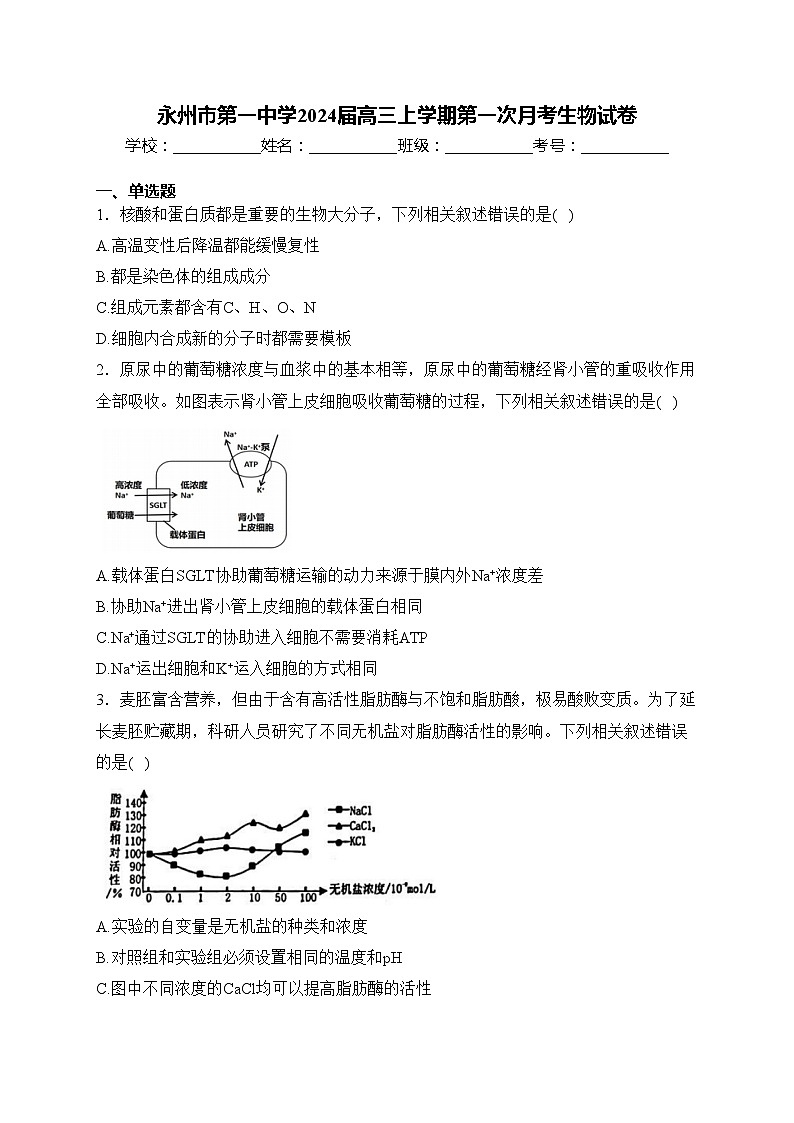 永州市第一中学2024届高三上学期第一次月考生物试卷(含答案)01