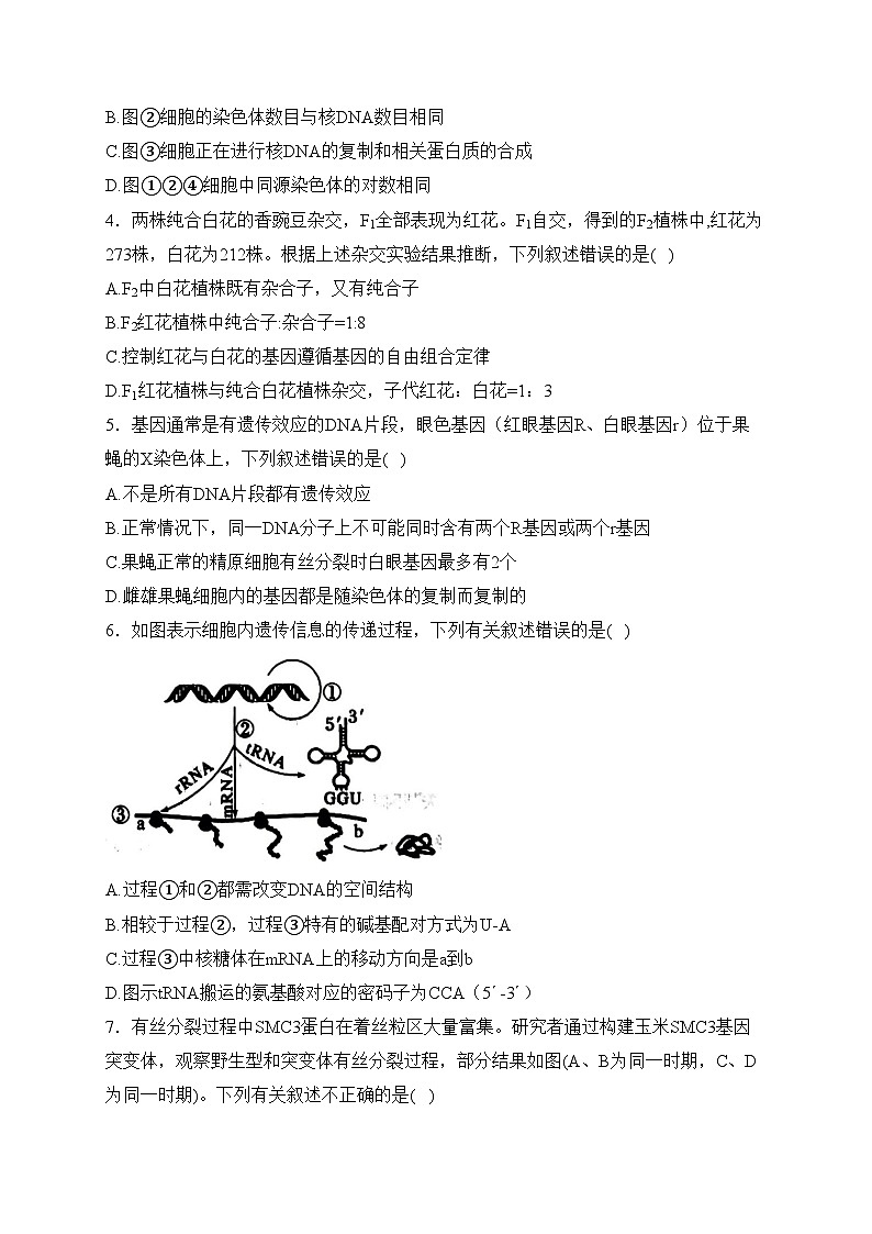 重庆市巴蜀名校2023-2024学年高二上学期期末考试生物试卷(含答案)第2页
