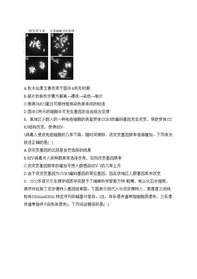 重庆市巴蜀名校2023-2024学年高二上学期期末考试生物试卷(含答案)第3页
