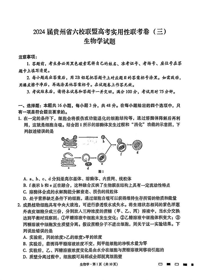 2024届贵州六校联盟高三下学期高考实用性联考（三）生物试题含答案第1页