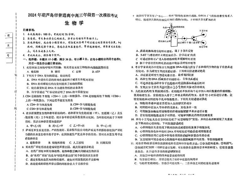 2024届辽宁省葫芦岛市高三下学期一模考试生物试题01