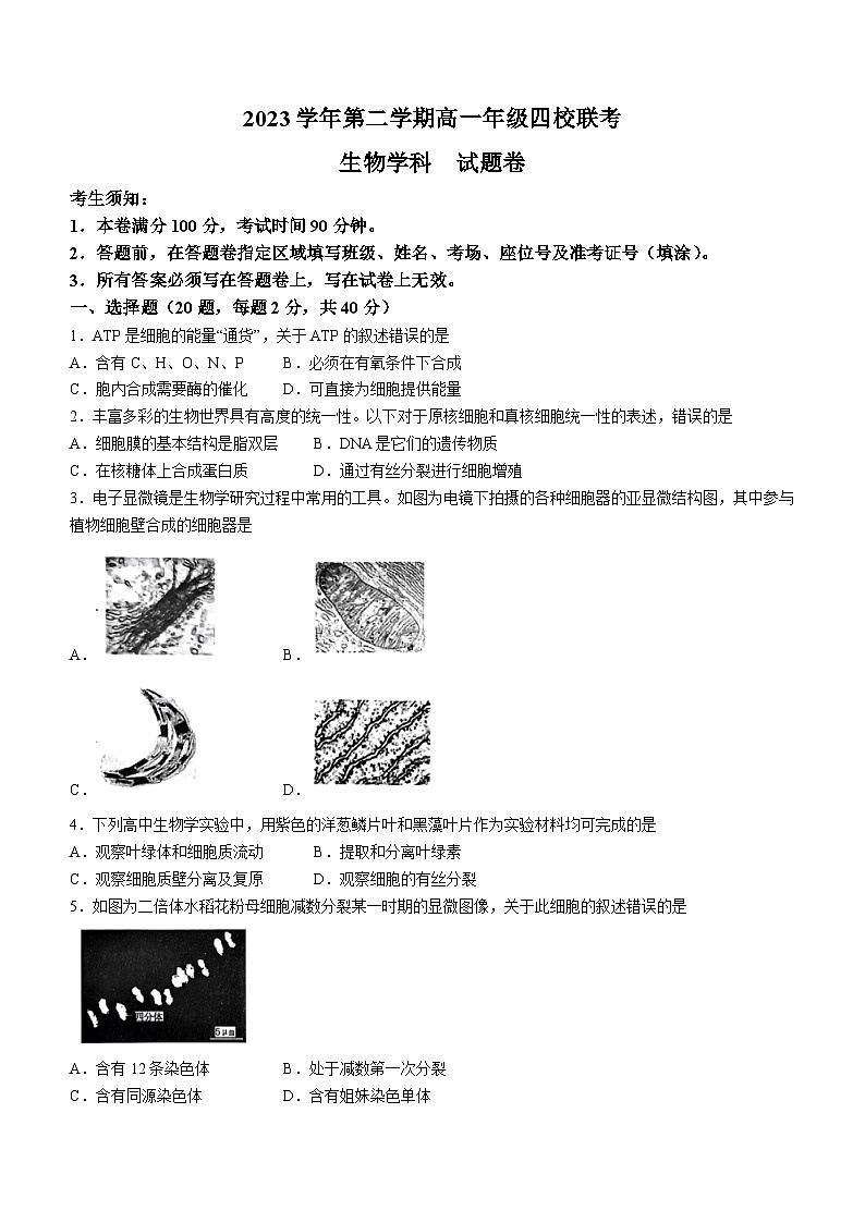 浙江省四校联考2023-2024学年高一下学期3月月考生物试题01