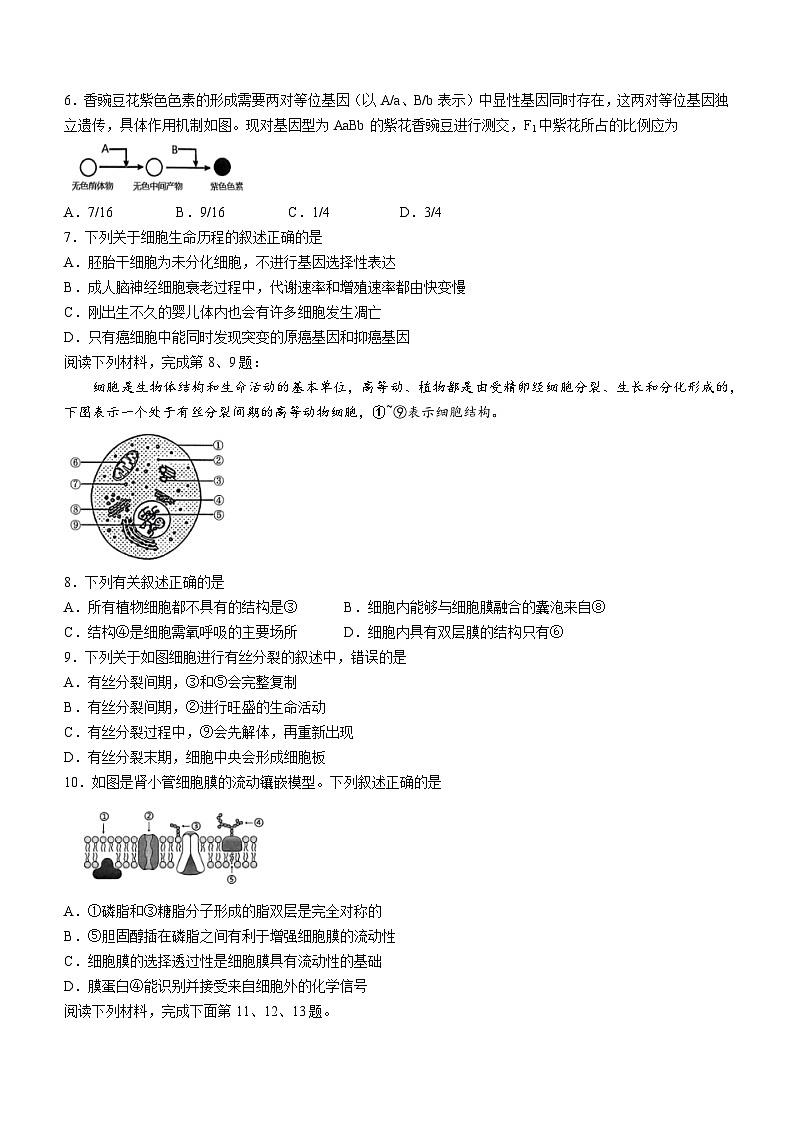 浙江省四校联考2023-2024学年高一下学期3月月考生物试题02