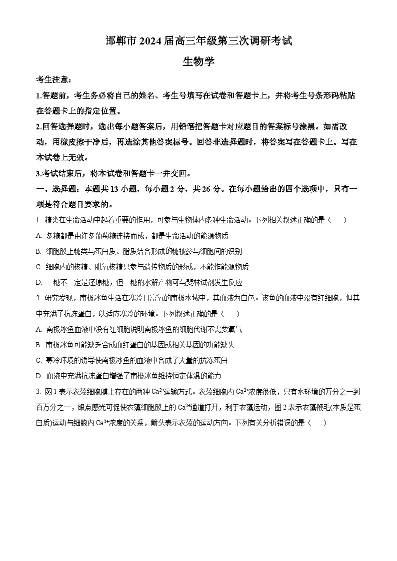 2024届河北省邯郸市高三第三次调研(一模)考试生物试题（原卷版+解析版）01