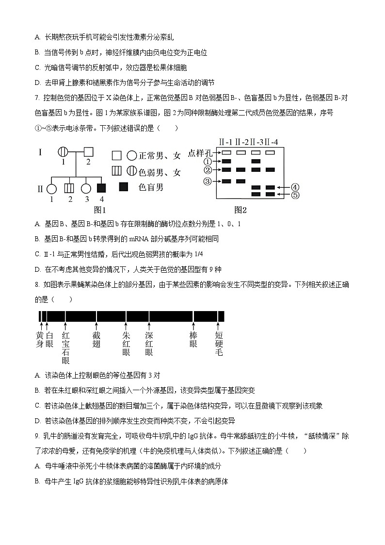 精品解析：2024届湖南省邵阳市高三下学期第二次联考生物试题（原卷版）第3页