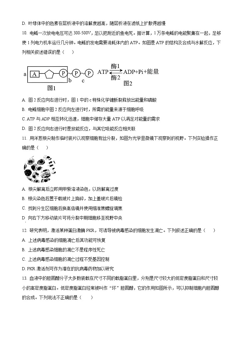 广东省饶平县第二中学2023-2024学年高一下学期开学检测生物试卷（Word版含解析）第3页