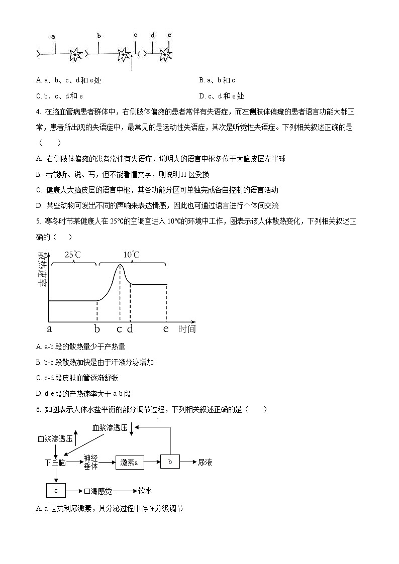 黑龙江省大庆外国语学校2023-2024学年高二下学期开学质量检测生物试卷（Word版含解析）02