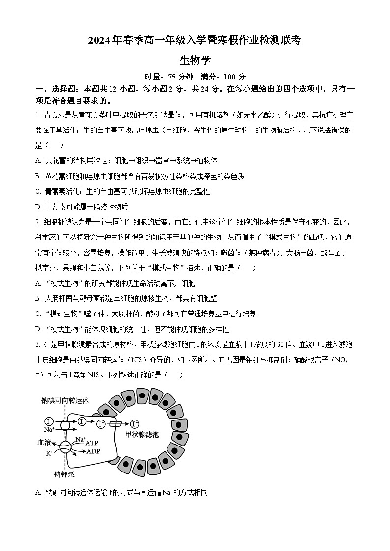 湖南省长沙市2023-2024学年高一下学期入学暨寒假作业检测联考生物试卷（Word版含解析）第1页