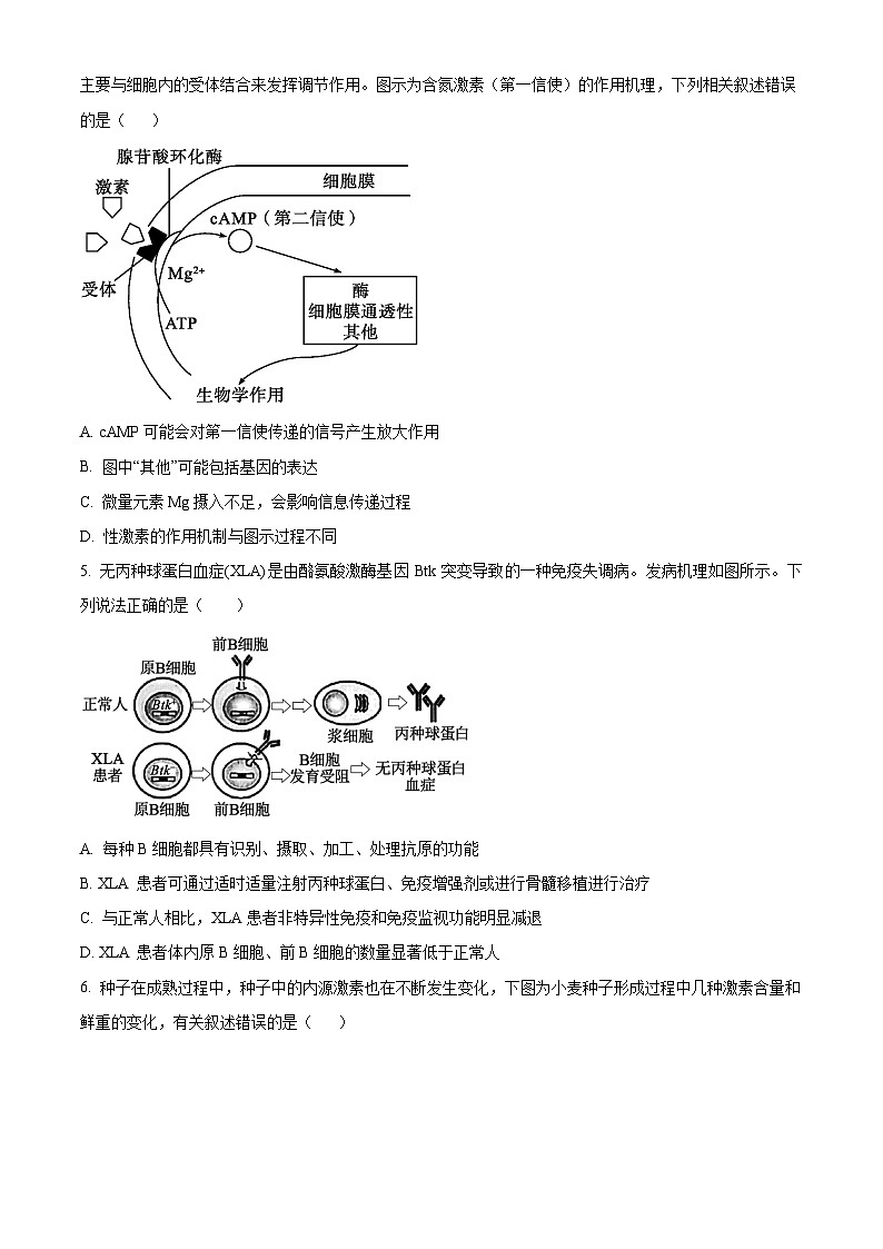 江苏省南菁高级中学、常州市第一中学2023-2024学年高二下学期3月月考生物试卷（Word版含解析）02