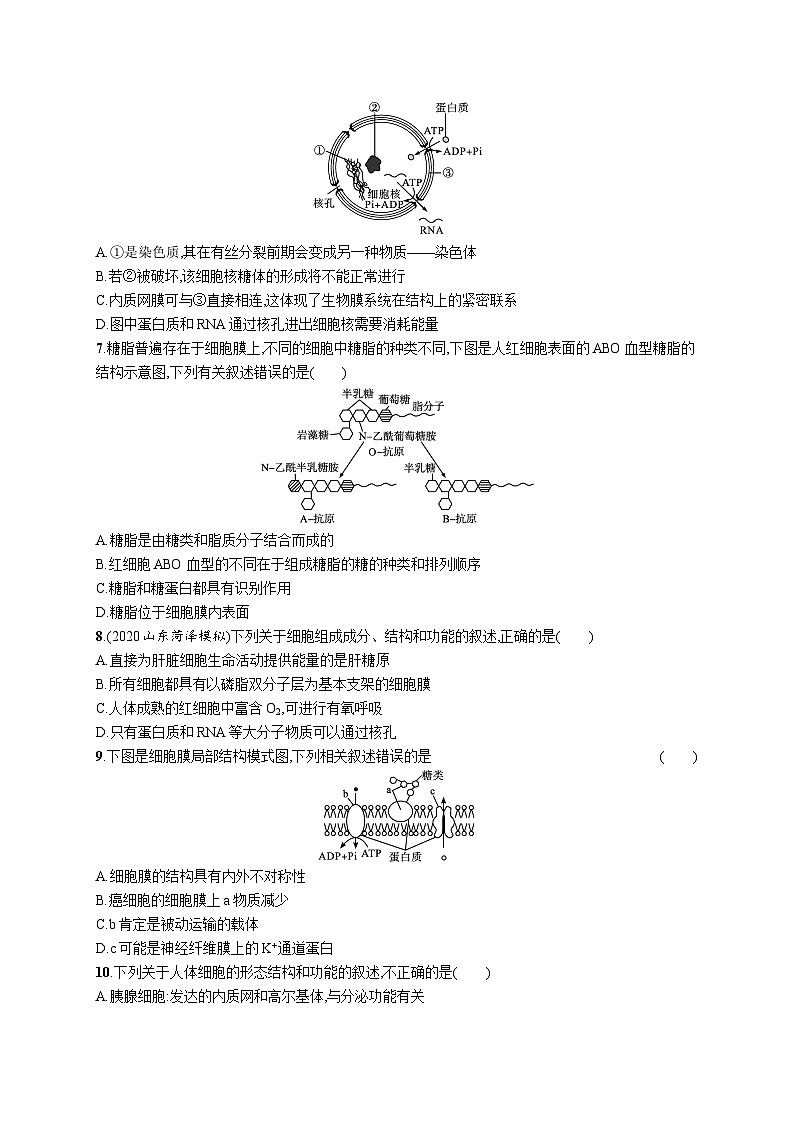 2025届高考生物一轮复习专项练习单元质检卷二细胞的结构（Word版附解析）02