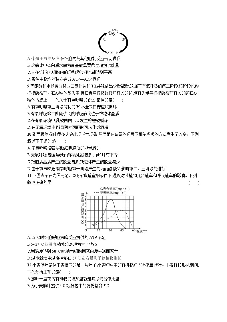 2025届高考生物一轮复习专项练习单元质检卷三细胞的代谢（Word版附解析）03