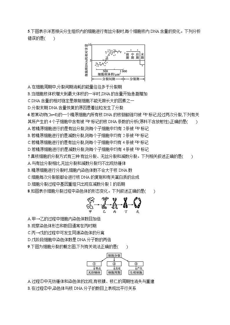 2025届高考生物一轮复习专项练习单元质检卷四细胞的生命历程（Word版附解析）第2页