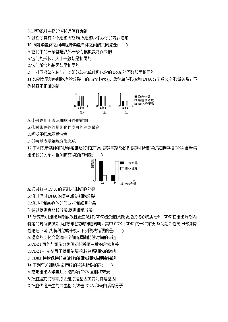 2025届高考生物一轮复习专项练习单元质检卷四细胞的生命历程（Word版附解析）第3页