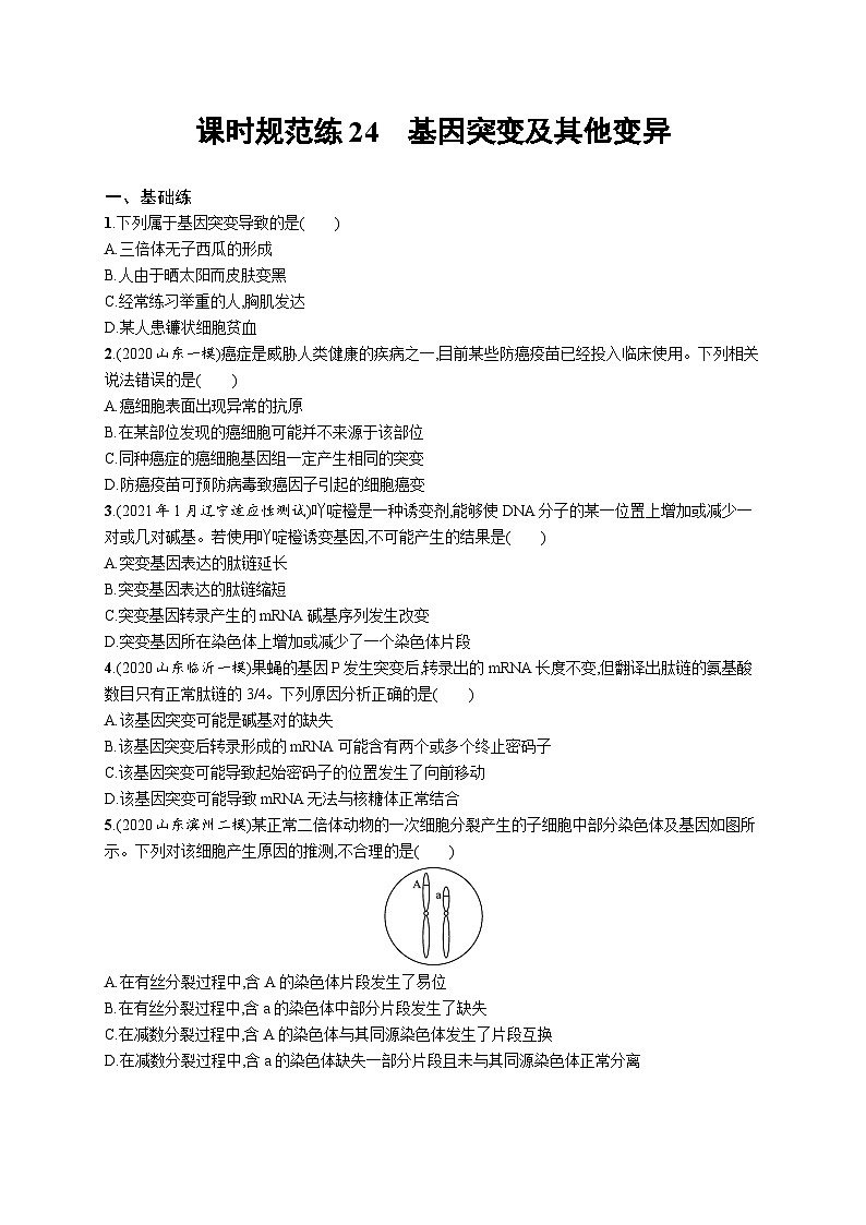 2025届高考生物一轮复习专项练习课时规范练24基因突变及其他变异（Word版附解析）第1页