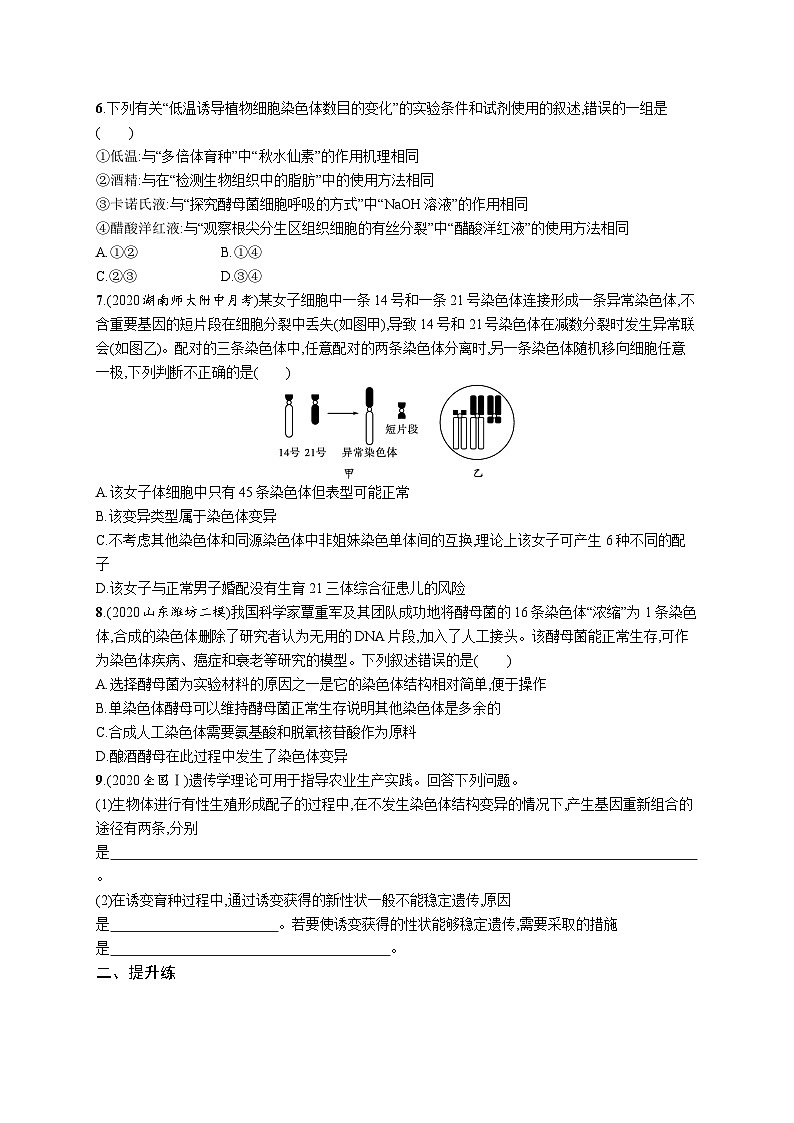 2025届高考生物一轮复习专项练习课时规范练24基因突变及其他变异（Word版附解析）第2页