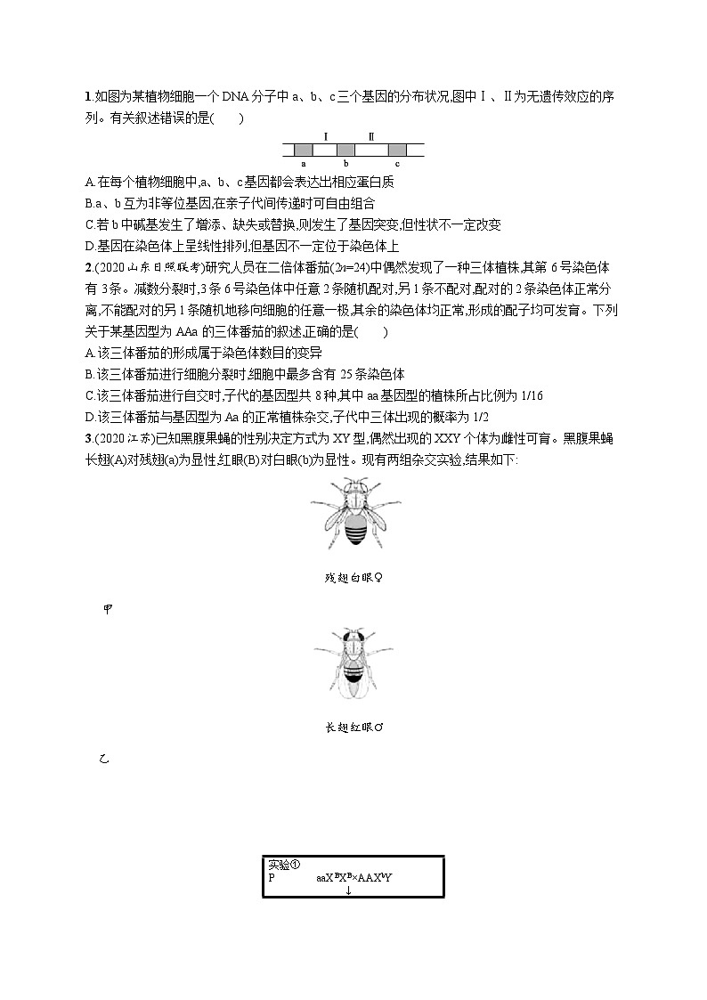 2025届高考生物一轮复习专项练习课时规范练24基因突变及其他变异（Word版附解析）第3页