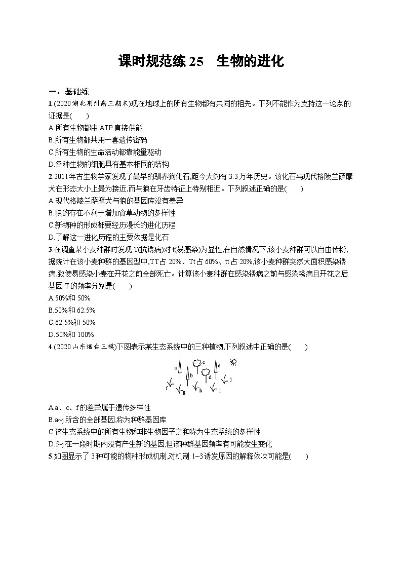 2025届高考生物一轮复习专项练习课时规范练25生物的进化（Word版附解析）第1页