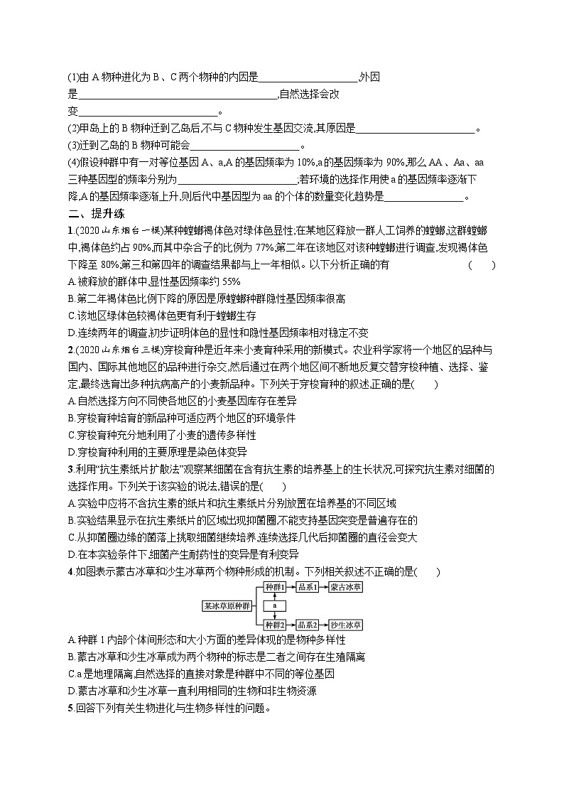 2025届高考生物一轮复习专项练习课时规范练25生物的进化（Word版附解析）第3页