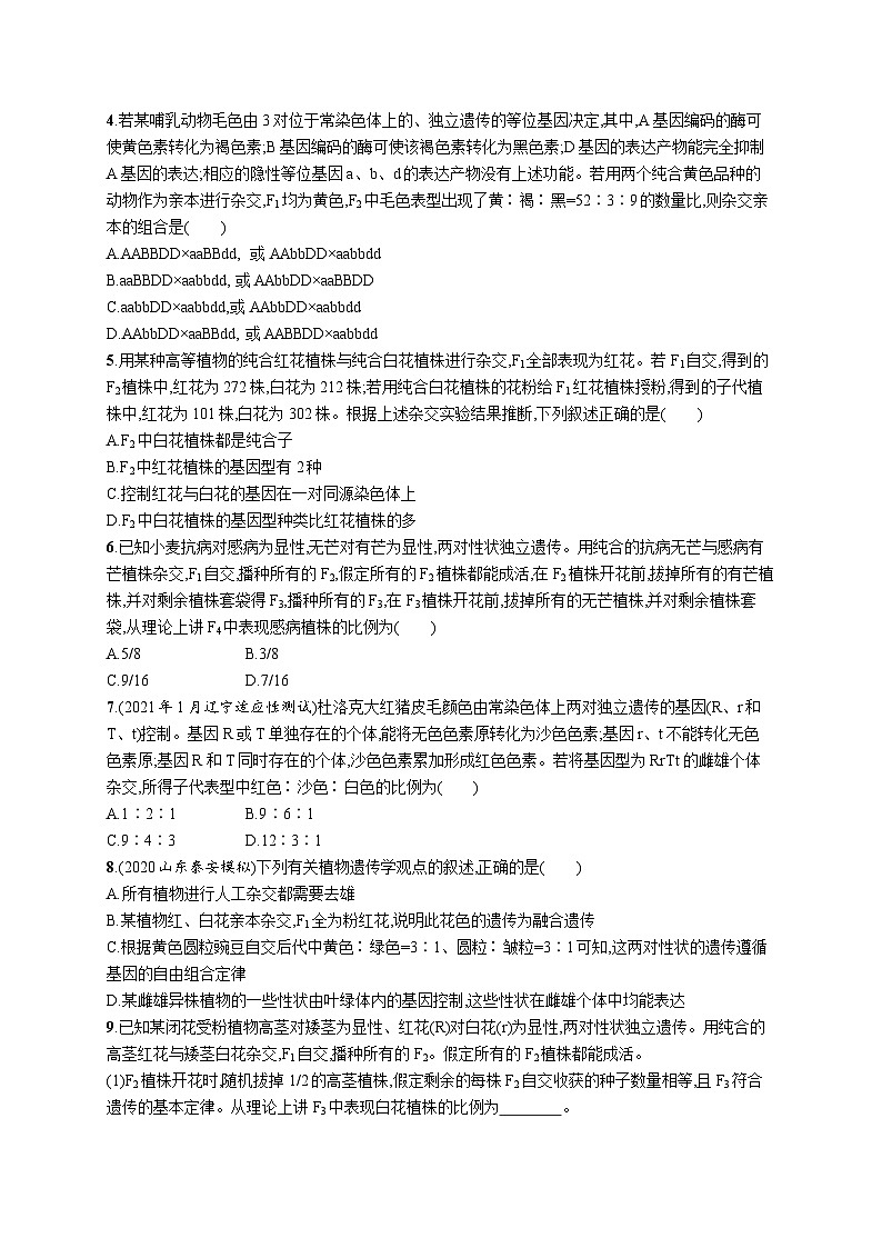 2025届高考生物一轮复习专项练习课时规范练20两对相对性状遗传实验分析及相关结论（Word版附解析）02