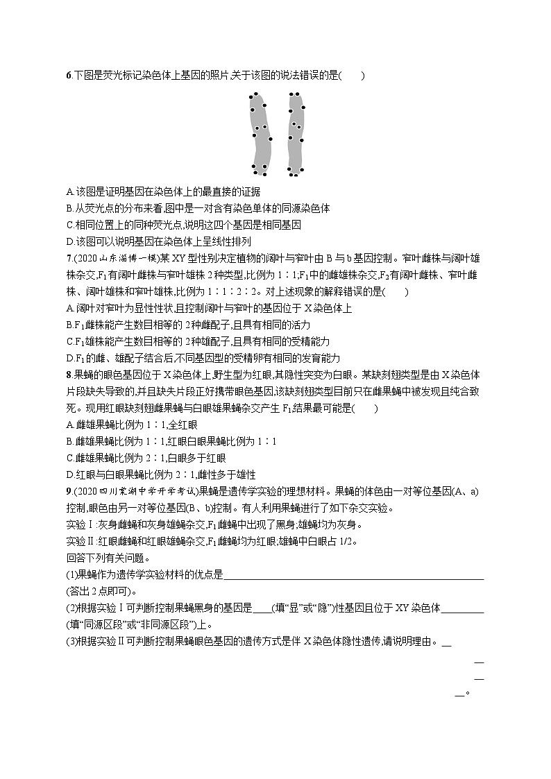 2025届高考生物一轮复习专项练习课时规范练22基因在染色体上伴性遗传（Word版附解析）第2页