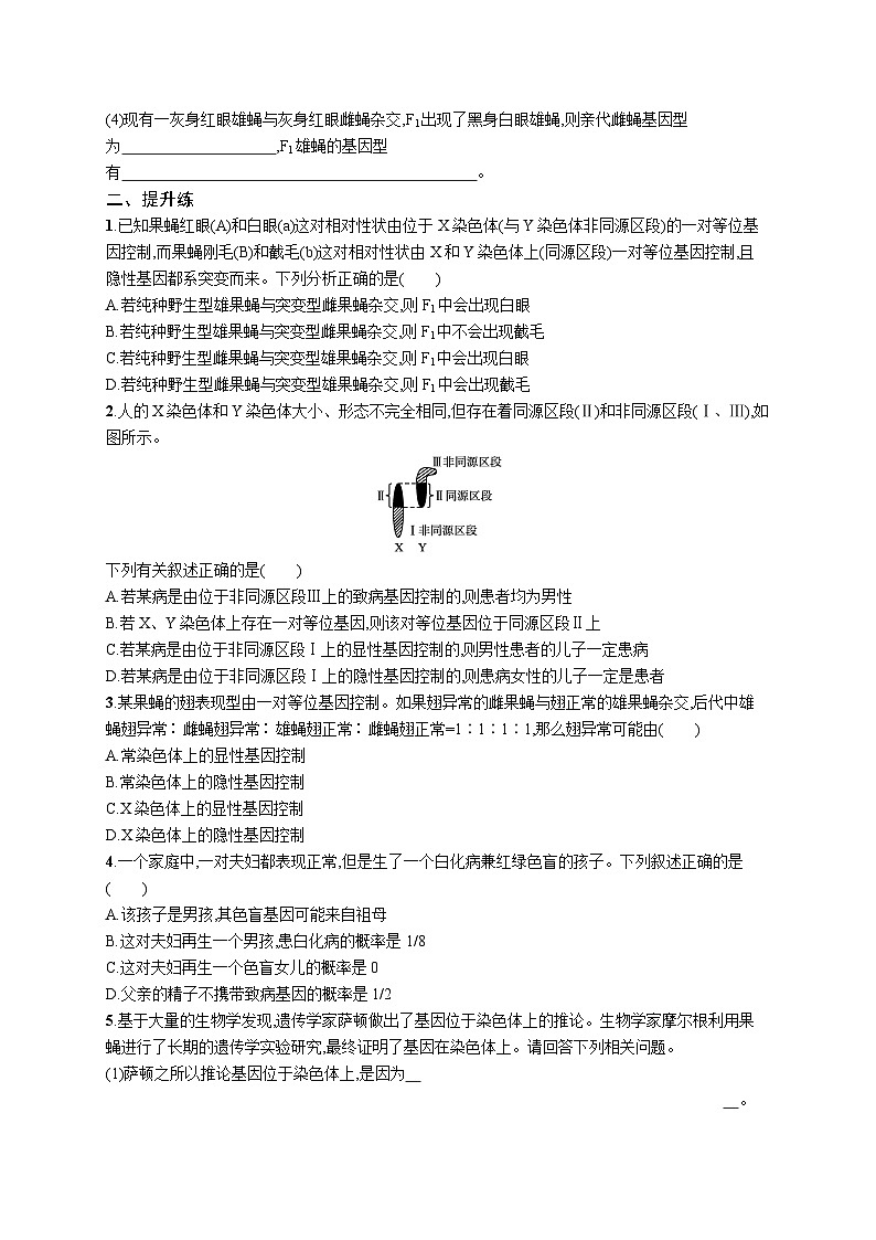 2025届高考生物一轮复习专项练习课时规范练22基因在染色体上伴性遗传（Word版附解析）第3页