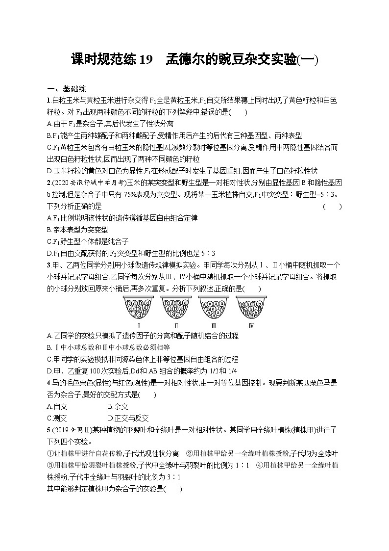 2025届高考生物一轮复习专项练习课时规范练19孟德尔的豌豆杂交实验（一）（Word版附解析）第1页