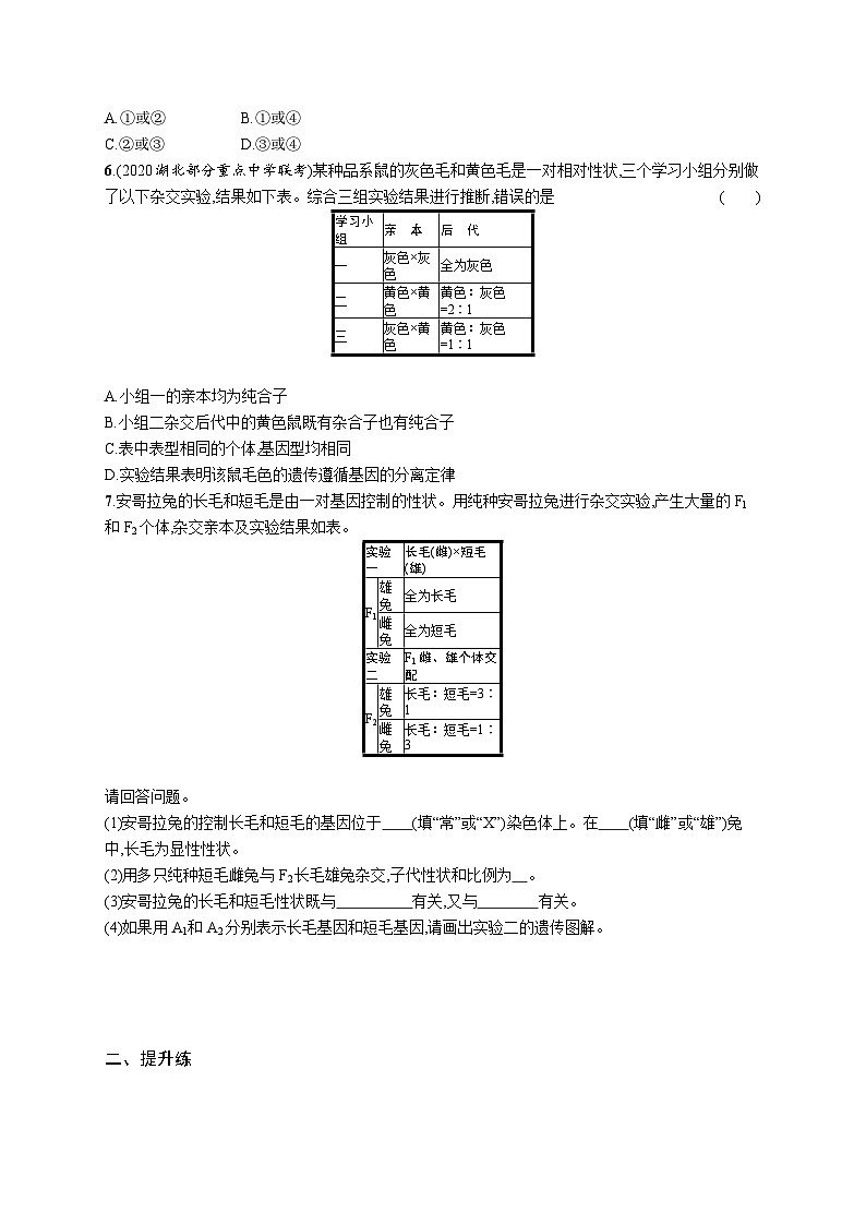 2025届高考生物一轮复习专项练习课时规范练19孟德尔的豌豆杂交实验（一）（Word版附解析）第2页