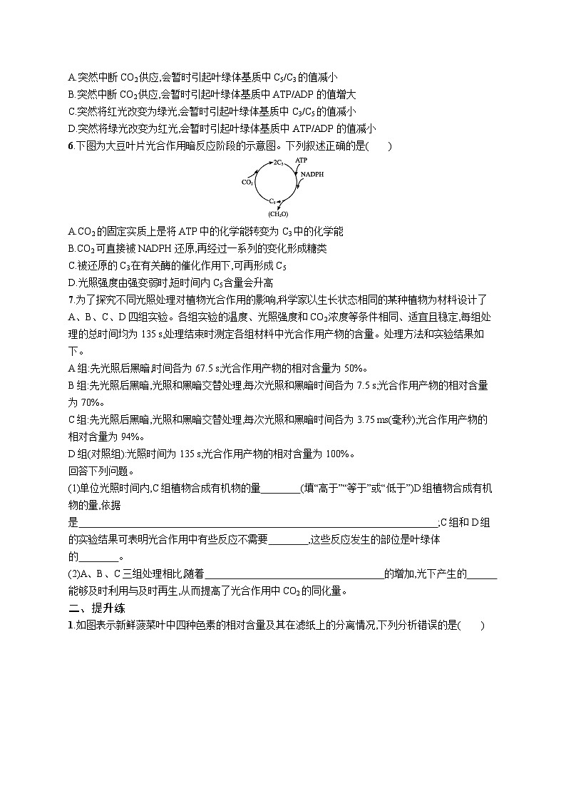 2025届高考生物一轮复习专项练习课时规范练10光合作用的原理（Word版附解析）第2页