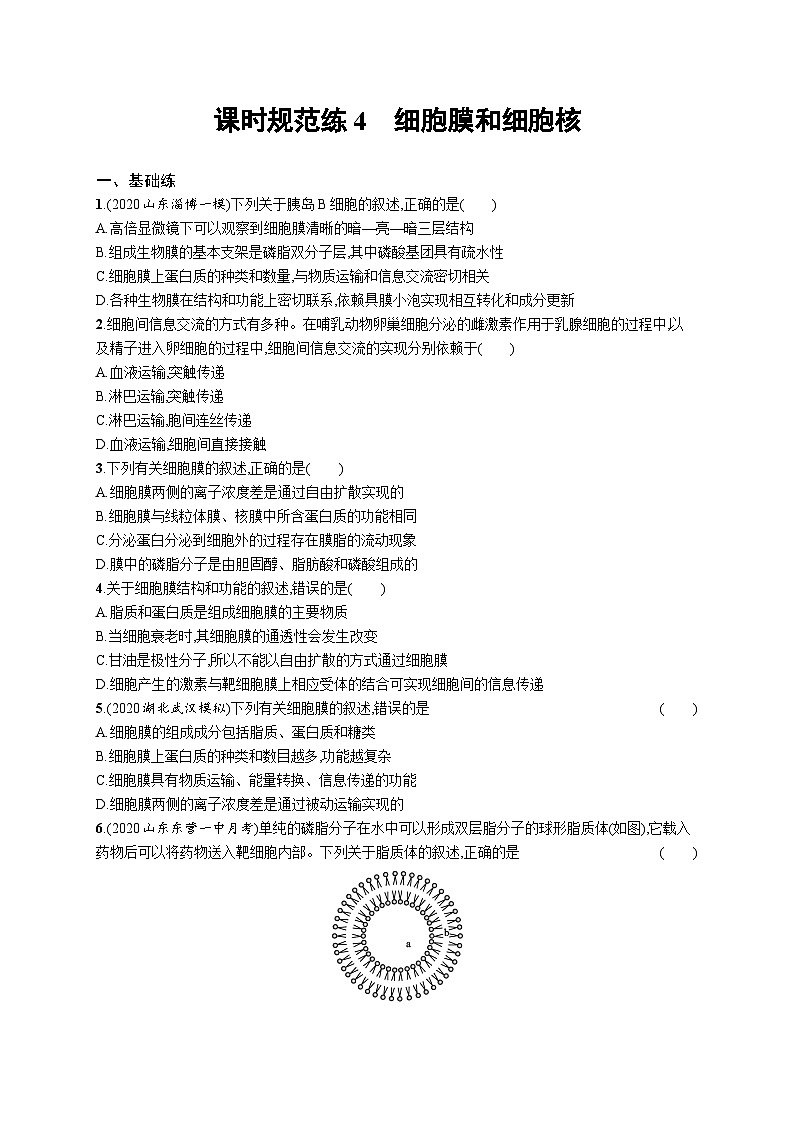 2025届高考生物一轮复习专项练习课时规范练4细胞膜和细胞核（Word版附解析）第1页