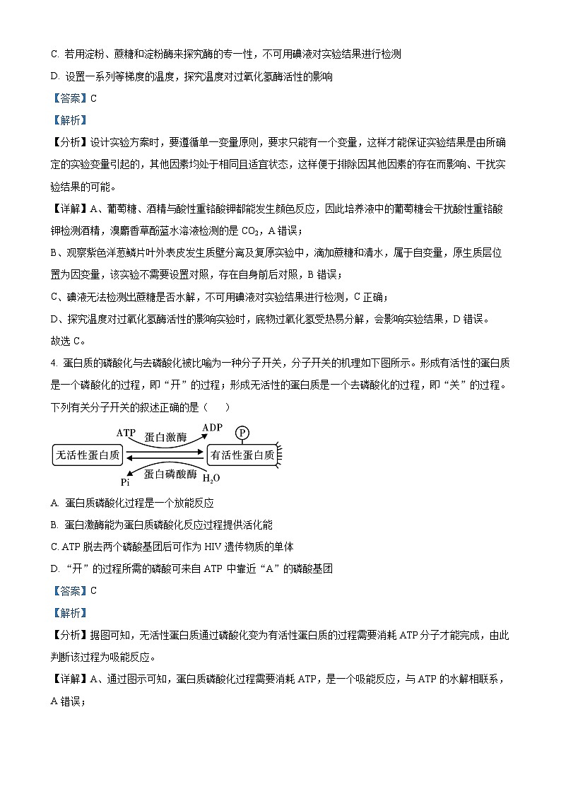 2024衡阳八中高三高考适应性练习（一）生物试题含解析03