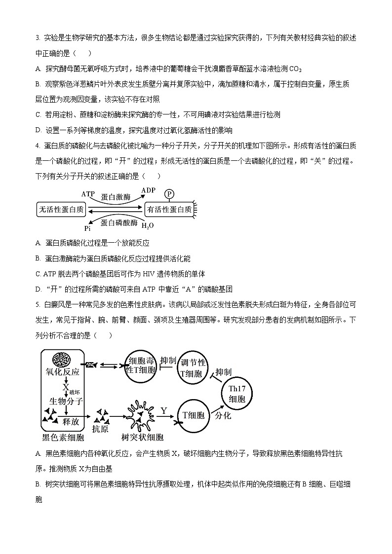 2024衡阳八中高三高考适应性练习（一）生物试题含解析02