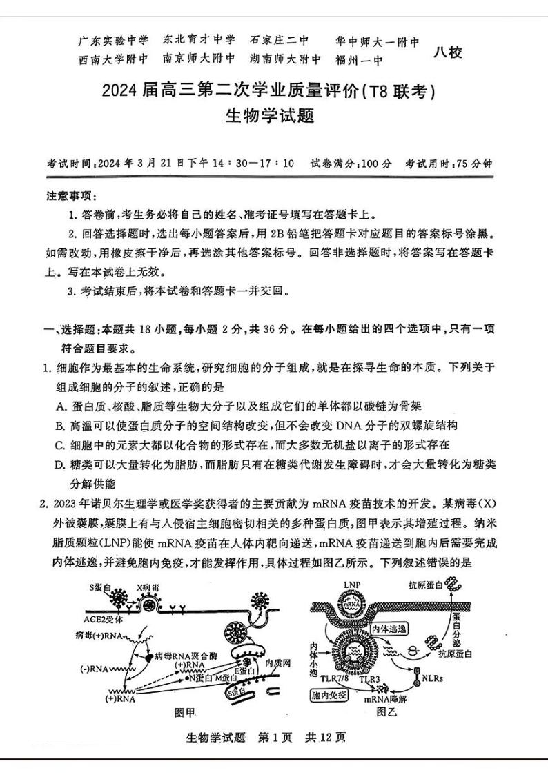 2024八省八校T8联考高三下学期3月第二次学业质量评价试题生物PDF版含解析01