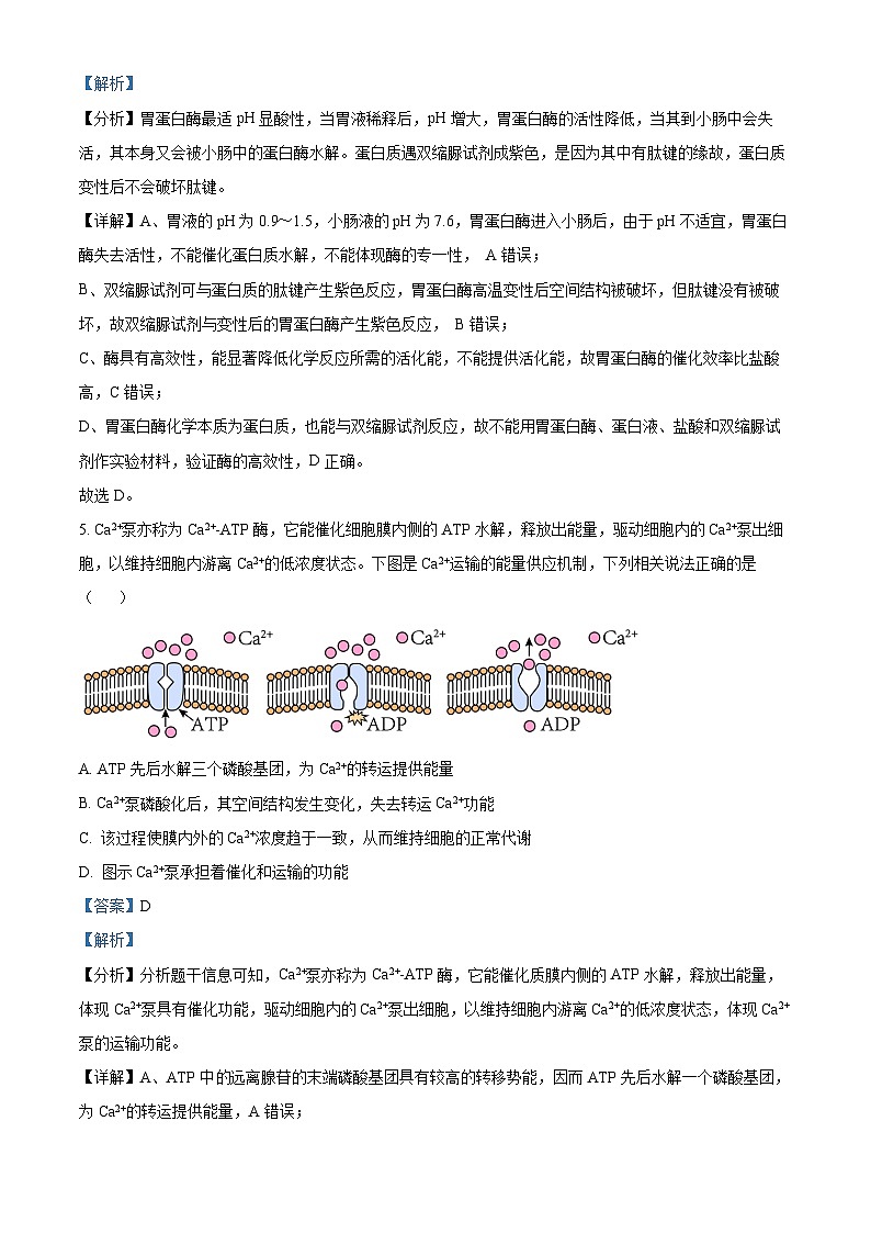 湖北省云学名校联盟2023-2024学年高一下学期3月联考生物试题含解析第3页
