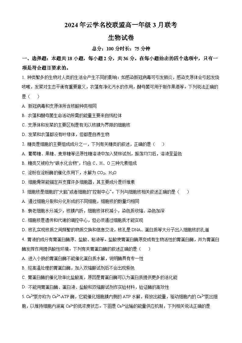 湖北省云学名校联盟2023-2024学年高一下学期3月联考生物试题（原卷版）第1页