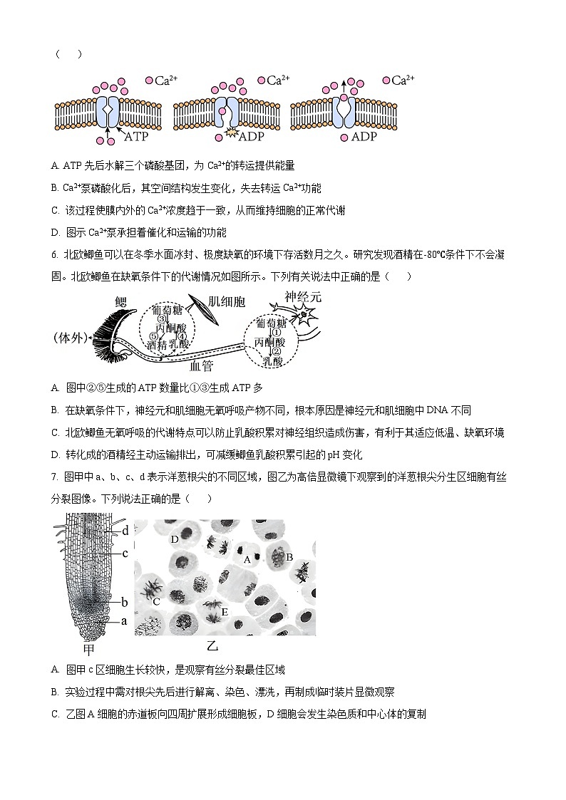 湖北省云学名校联盟2023-2024学年高一下学期3月联考生物试题（原卷版）第2页