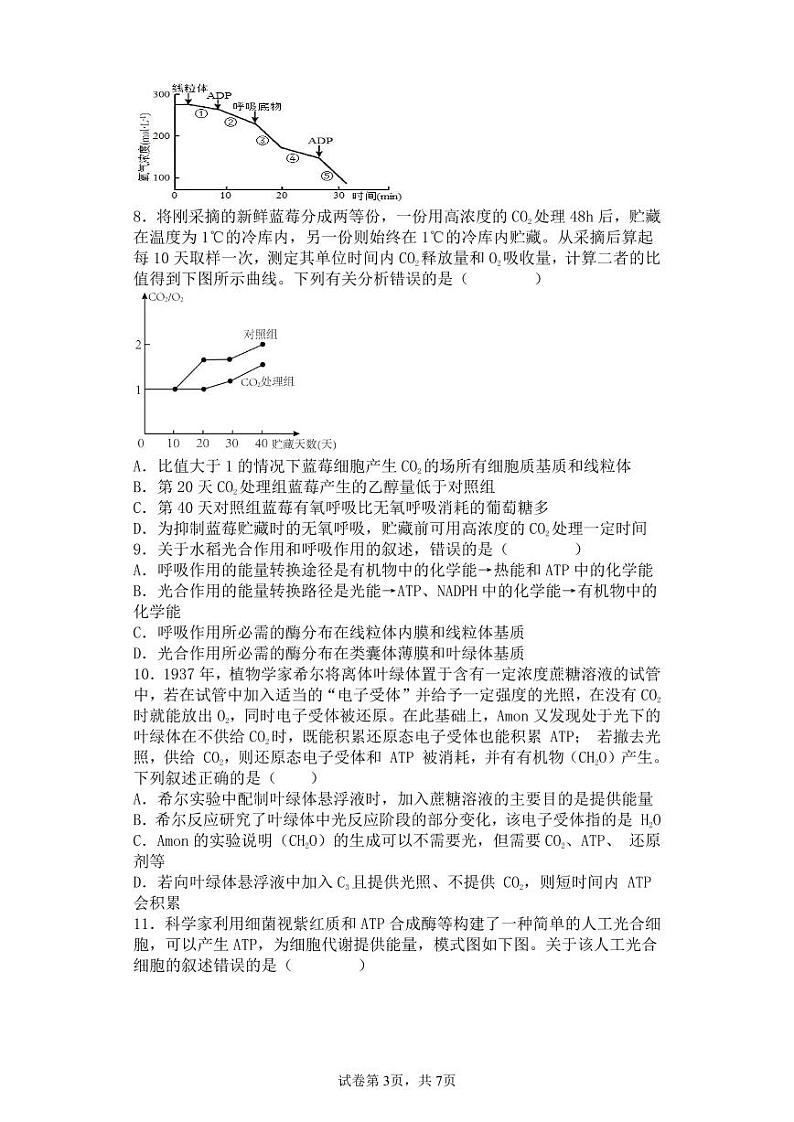 月考生物试题第3页